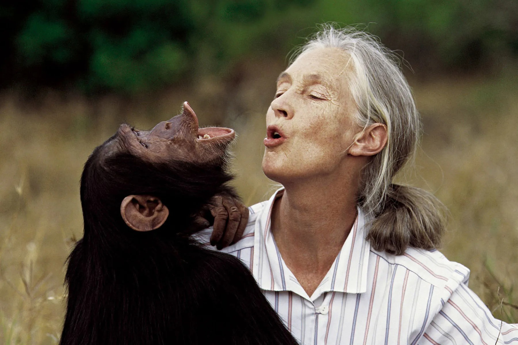 jane_goodall_obit